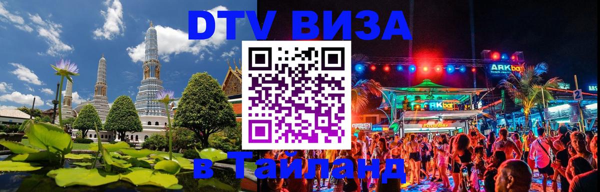 Оформление DTV визы под ключ: стоимость и тарифы, только загранпаспорт - 